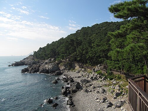 동백섬